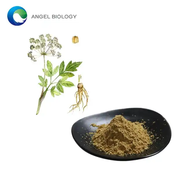 Does Angelica Extract Powder Support Immune Function?